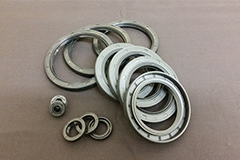 Oil Seal